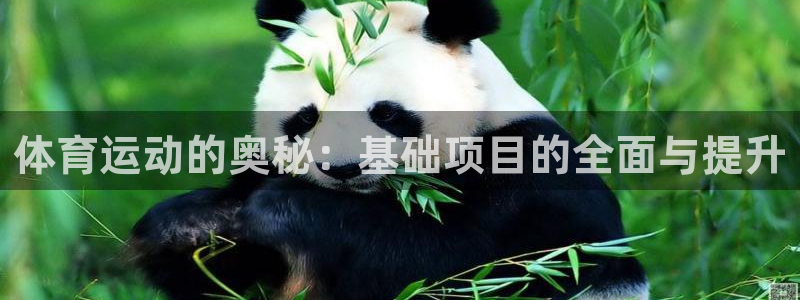 意昂官网注册