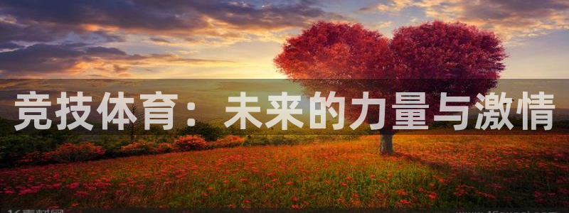 德国杏宇集团