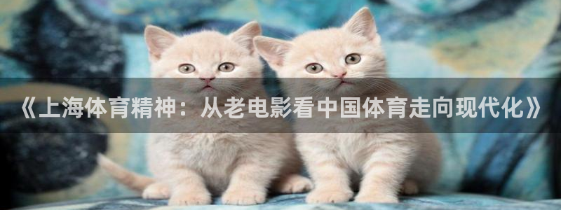 杏宇2登录