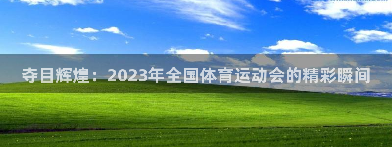 杏宇体育游戏