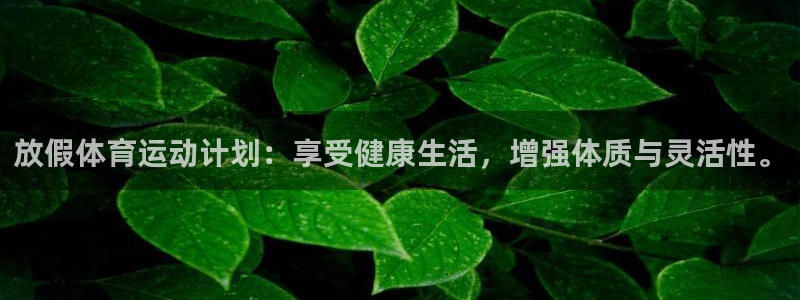 杏宇3代理