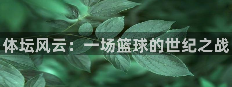 意昂代理注册官网入口