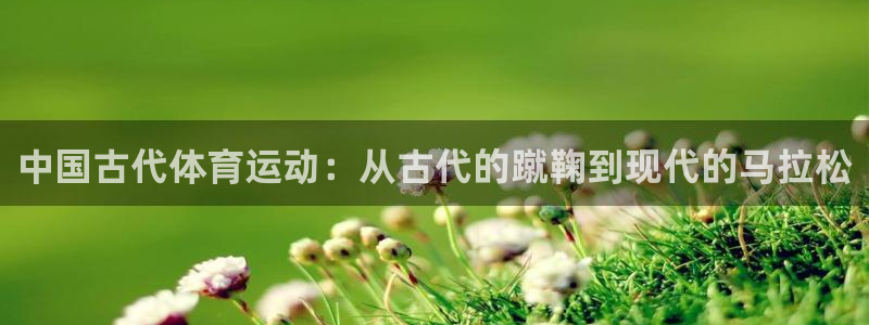 杏宇体育凯捷代理注册