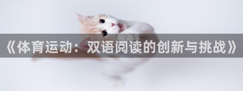 杏宇零能源集团