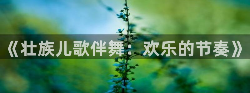 杏宇体育用品