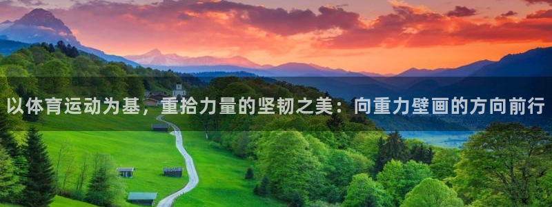 杏宇体育