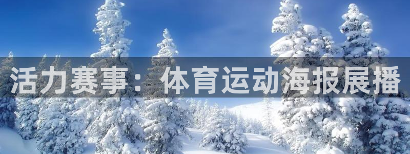 杏宇官网