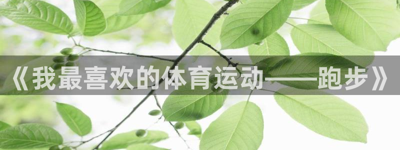 杏宇体育官网注册