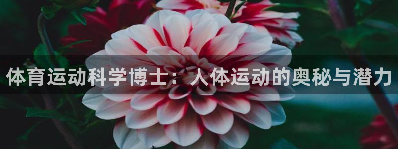 杏宇5