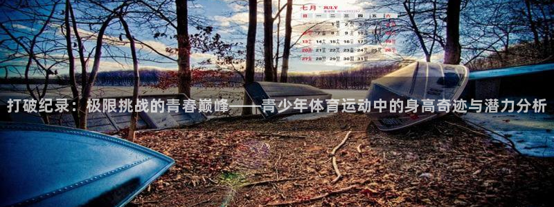 杏宇2代理注册