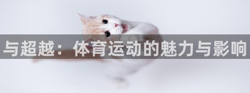 杏宇3