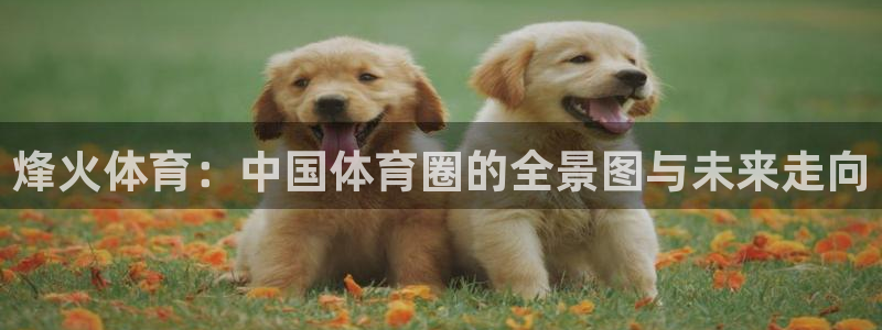 杏宇3登陆