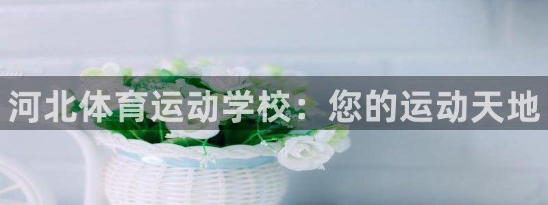 意昂体育官网