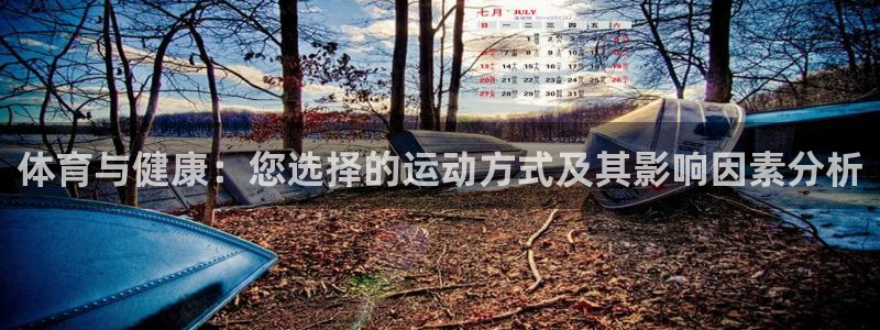 杏宇3官网登录