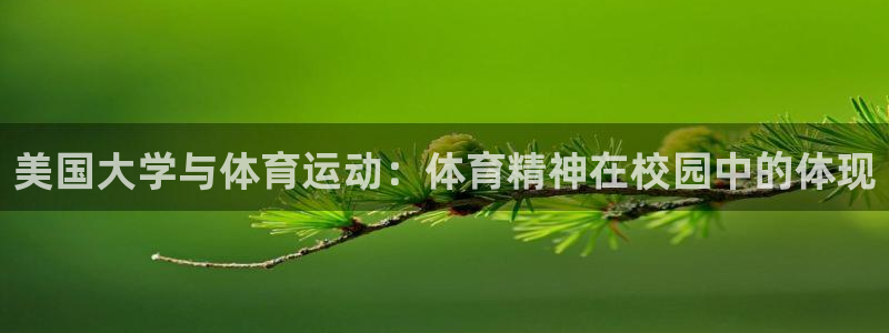 杏宇体育3在线注册