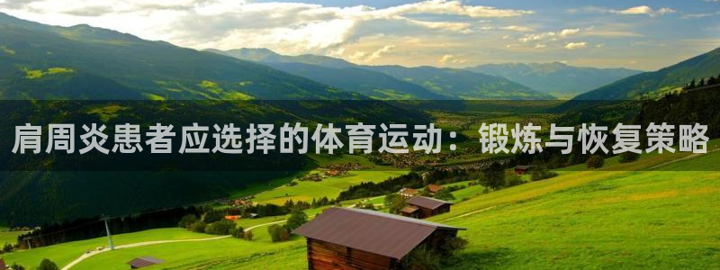 杏宇体育平台总代理