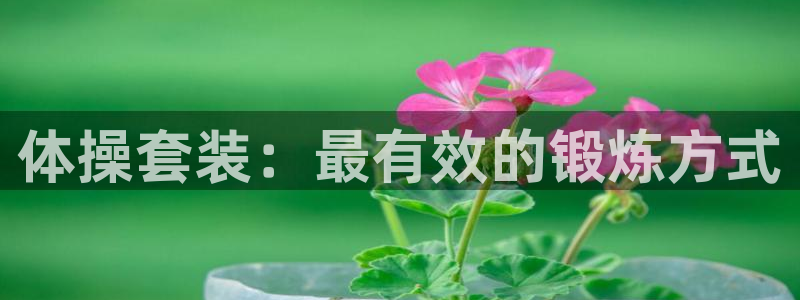 杏宇3平台注册