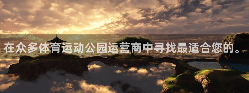 杏宇体育
