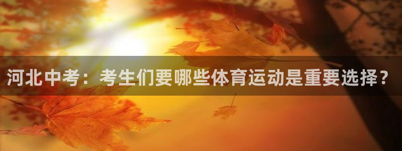 杏宇3代理