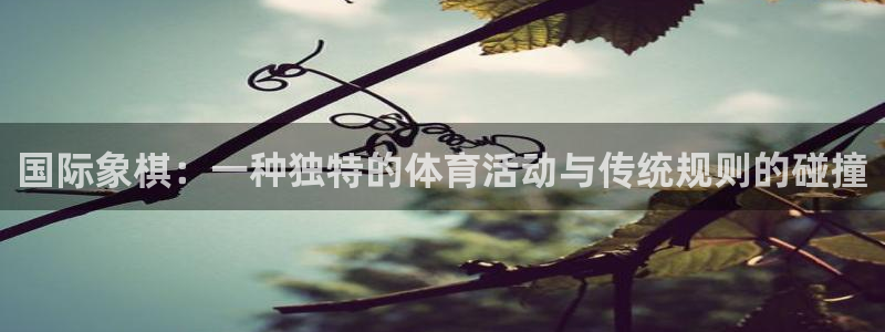 杏宇体育2官网入口