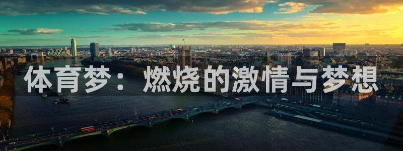 杏宇注册