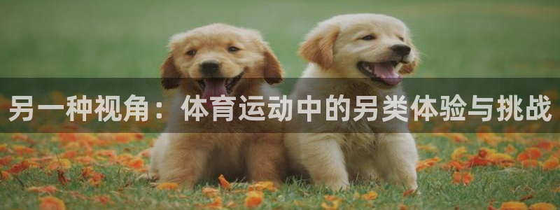 杏宇电子有限公司