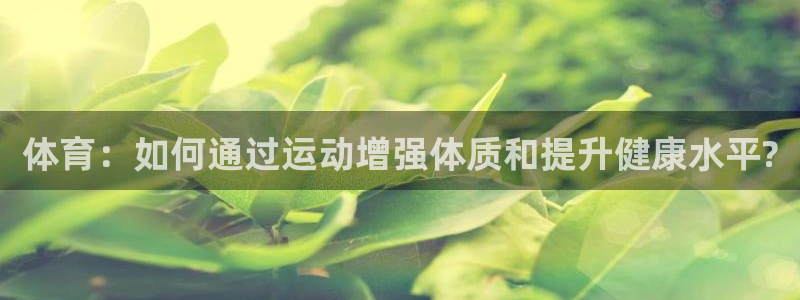 杏宇集团官网